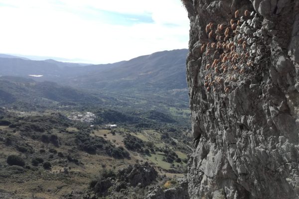 IMG_20191123_104459-scaled IMG_20191123_104459-scaled