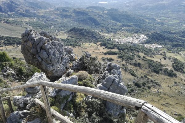 IMG_20191123_114315-scaled IMG_20191123_114315-scaled