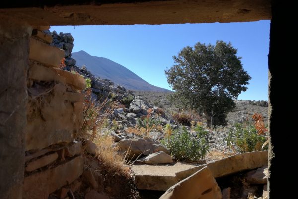 IMG_20200829_095303-scaled IMG_20200829_095303-scaled