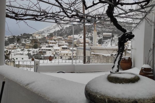 IMG_20210217_073623-scaled IMG_20210217_073623-scaled