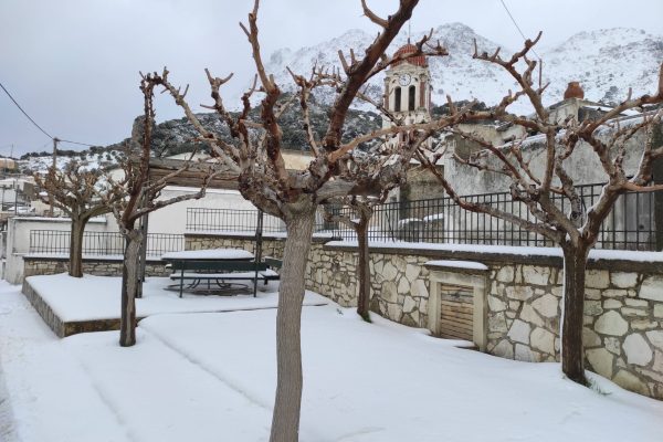 IMG_20210217_100311-scaled IMG_20210217_100311-scaled