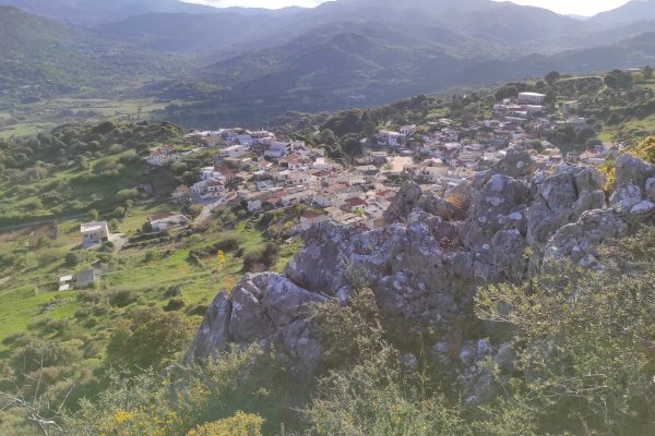 IMG_20210421_182818-scaled (1) IMG_20210421_182818-scaled (1)